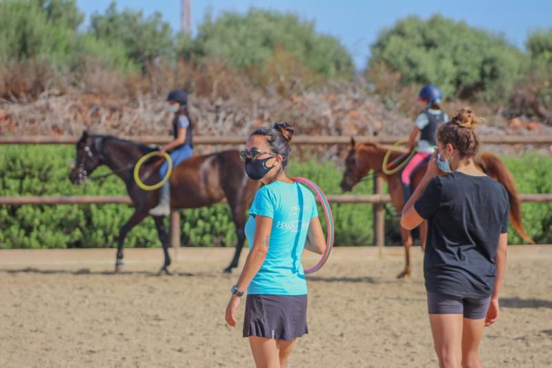 Haras del Mar